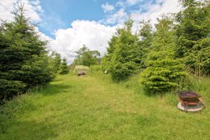 Photo 30- click for photo gallery